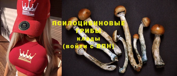 метадон Абаза
