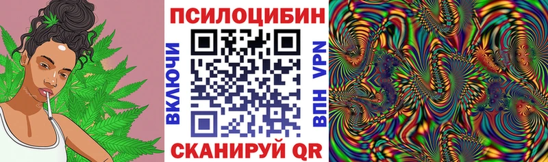 Псилоцибиновые грибы Psilocybe  Пугачёв 